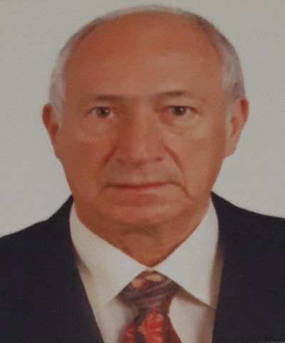 Prof. dr Vladimir Borišev